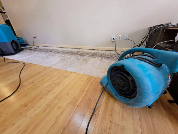 Professional Basement Flood Cleanup technician working in Carbon Hill, OH